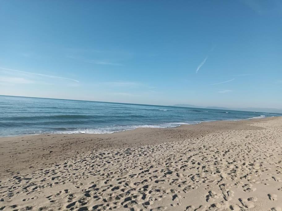 Casa Scrigno Di Mare-pineta Vicinissimi